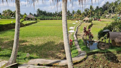 Ubud, das kulturelle Zentrum Balis