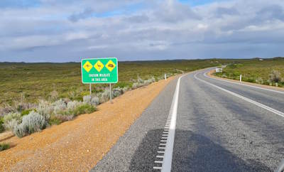 Was kann man in Westaustralien (Perth) unternehmen?