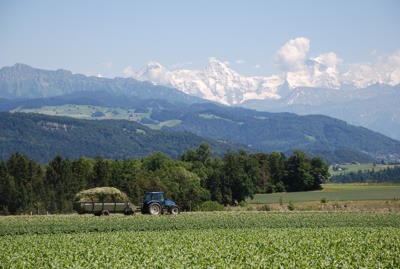 Schweiz, Kirchdorf BE