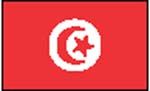 flag Tunesien