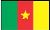 flag Kamerun